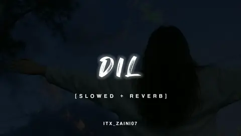 𝘿𝙞𝙇❤ ⎪𝙎𝙇𝙊𝙒𝙀𝘿+𝙍𝙀𝙑𝙀𝙍𝘽⎪💫 𝙐𝙎𝙀 𝙃𝙀𝘼𝘿𝙋𝙃𝙊𝙉𝙀 𝙁𝙊𝙍 𝙏𝙃𝙀 𝘽𝙀𝙎𝙏 𝙀𝙓𝙋𝙀𝙍𝙄𝙀𝙉𝘾𝙍🎧 #dil #meinnyteranamdilrakhdia #slowedandreverb #growmyaccount #songcontent #slowedreverb #aestheticvideos #foryou #vairl #fypシ #itx_zaini07 
