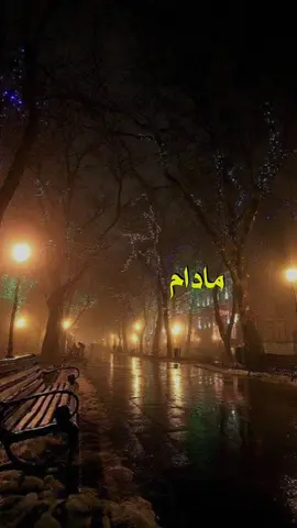 #CapCut Me, the wages of the nights and the severe siege.#جديد_الشبح_للتصميم #fyp #foryou #explor #ترند # @الشبح للتصميم  @الشبح للتصميم 