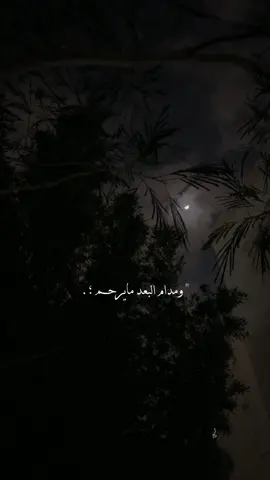 - وش اهدافك في عام ٢٠٢٤ ؟؟ 🙂                                #اكسبلور #تصميمي #explore #foryou #fypシ #foryourpage 