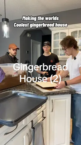 Did I take this too far? 🤔 #gingerbread #house #irl #tylercsatari 