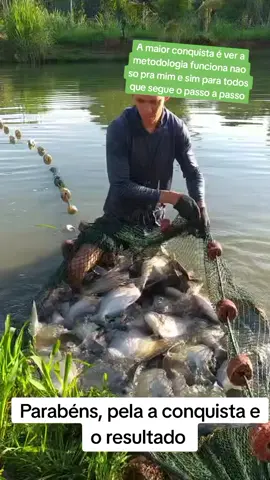 Resultado de um cultivo com técnicas de cultivo avançado de peixe.