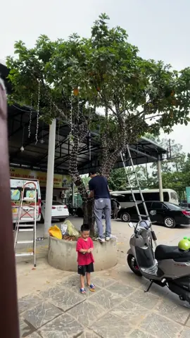 ✅✅LED F5 quấn cây, trang trí hiên, rủ. LH 0336222968 ạ