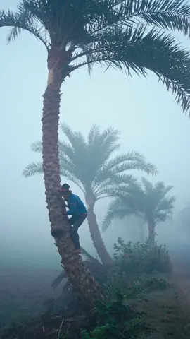 শীতের সকাল #tiktoktaintment #ronysharafat #tiktokvlog #amarbangladesh  #FoodLover #winterfood #bengalifood 