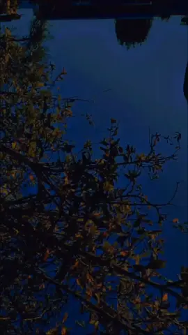 #CapCut #fyp #Rap #fyp  Santa RM 🖤 y su canción Dile a la Luna 🌕 #paratiiiiiiiiiiiiiiiiiiiiiiiiiiiiiii #fypシ #comparte #Rap #music #tiktok #letrasdecanciones 