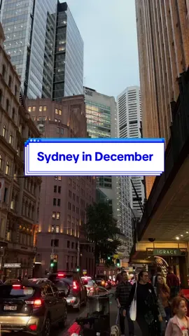 pure gratitude and positivity all around sydney  #sydneyaustralia #sydneyblogger #sydneycitylife #downunder🇦🇺 #australiatiktok #foryoupage #tiktokviral 