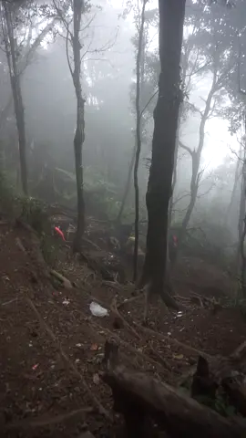 ni buat prank temen kalian #fyp #fypシ゚viral #gununggedepangrango #natal 