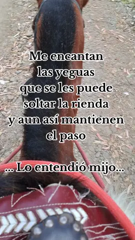 #viral #parati #rancho #caballosbailadores #CRNZ #sinella 