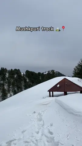 Mushkpuri track📍🌨️🏔️ Snow coverd 🌨️ #travellifehacks #kashmir #neelumvalley #snowfalling🥶🌧 #travellife #northranareasofpakistan #arangkel #marrychristmas #newyear2024 #beautifullife #nathiagali #pakistanzindabad #mushkpuritop 