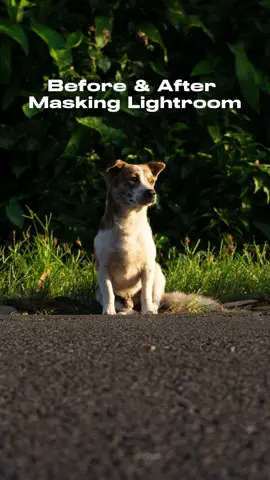 How i masking my photo in lightroom  #photographer #photoshoptutorial #lightroom #lightroompreset #lightroomediting #lightroomtutorial #photography101 #preset #masking #beforeandafter #fyp #fypシ #fypシ゚viral