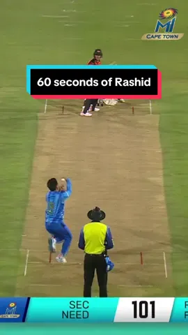 Pure artistry 🧑‍🎨 #micapetown #sa20 #cricket #afghanistan #rashidkhan 