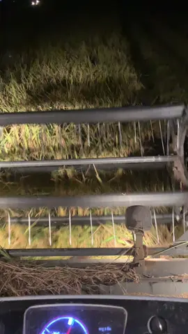 Được bửa chạy đêm phê phê 🥰#kubota #dc70plus #dc60 #anhemmaycatmaidinh #anhemkubota #anhemmaygat 