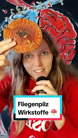 #pilze #aufklärung #fliegenpilz 