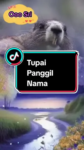 Good night merry for my friend Text, name, sound can edit #tupaipanggilnama #tupaicomel #soundtupai #viralvideo #capcut @DEKFIQ88🥰🥰 @MexMoney @Puteri Qaseh Marissa 2 
