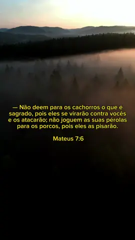 #biblia 