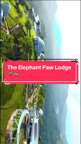 📍The Elephant Paw Lodge🐾 #fyp#explore#viral#ethiopia#cheberachurchuranationalpark#ethiopian_tik_tok#ethiopian#اثيوبيا#اثيوبيا🇪🇹#اثيوبيا🇪🇹🇪🇹🇪🇹#rravel#travelethiopia#travelafrica