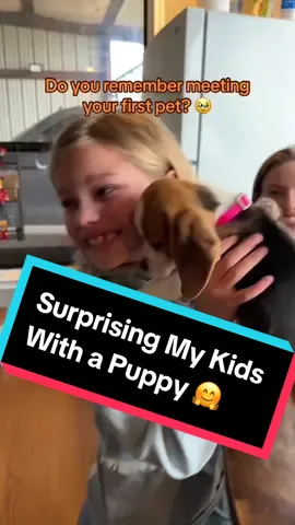 Do you remember meeting your first pet? 🥹 What should we name her??? #puppysurprise #puppy #holiday2023 #xmas2023 