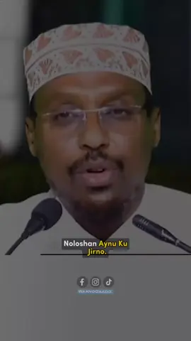 sheikh Mustafa wacdi nolosha ku saabsan ..... #sheekh_mustafe  #wacdi #waano #nolosha 