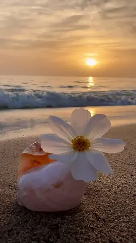 #sahoura👑🧿  #تصميم_فيديوهات🎶🎤  #كان_ياما_كان_الحب_مالي_بيتنا🥹🎻✨ 