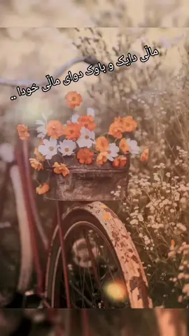 قوربانی چرکەیەکی ئێوەبم دایەگیان باوکە گیان 😘😘  #ツツ #Aravu #fypシ #foryou #foryoupage 