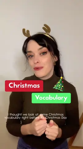 Christmas vocabulary for this festive time of year! ✨🎄🎅🏼  #christmas #christmasvocabulary 