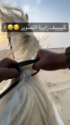 الحل الوحيد اذا مامعك احد يصور 😅🐎.                                                                              .                                                                                      .                                                                                         .  #ترند #اكسبلورexplore #fyp #خيل_وخياله🐎 #CapCut #خيل_عربي #خيل_وخياله🐎🖤ماشاءالله #حصان #الشعب_الصيني_ماله_حل😂😂 #الركوب_العربي #تصويري #ركوب_الخيل 