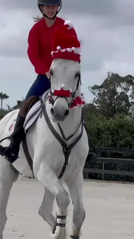 this edit took me so long it better not flop. cactus says merry christmas eve🌵🎄also my vid of me jumping 1.50 got 130 likes on tt but 1,200 on insta? pls unshadow ban me #christmas #christmaseve #horse #horsedecorated #horserhemedchristmas #santahat #hat #santa #show #jumping #horsesoftiktok #cutehorse #christmashorse #unshadowbanme #floptok #flopping #reels #viral #viralvideo #funnyvideos 
