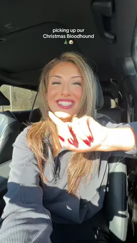 WE HAVE A BLOODHOUND & he officially has a name! 🐶🤪🎄 the boys are OBSESSED. 🤍 #bloodhound #bloodhoundpuppy #christmasvlog #Vlogmas #christmasevevlog #toddlerchristmasideas #Vlog #MomsofTikTok #youngmoms #boymom 