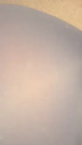 boldogsagos karacsonyfat mindenkinek! pucsi #fyp #foryoupage #fypシ #cousin #sister #nekedbe #pusztuljonforyouba #nekedbe #blonde #brown #lecsibesz #foryou #longhair #shorthair #lecsibeszhanna 