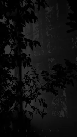 #CapCut #قالب_جاهز_نار🔥 #الشتاء🎻🎼 #الخبر_الشرقيه #fypシ゚ #اكسبلورexplore❥🕊 #fypシ゚ #الحمدلله_دائماً_وابداً #رواق_هدوء_جمال #مصمم_فيديوهات 