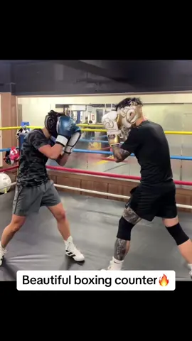 Timed perfectly👏🏻#boxing #boxing🥊 #boxingfans #boxingfanatik #fyp #viral #boxe #boxeo #boxen #boxinghighs #boxinghighlights #boxingtok #boxingheads #foryoupage #boxingskills #boxingmotivation #boxingnation #boxingday #sparring #boxingsparring 