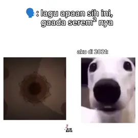 💀 #scp #015 #meme #fyp #xcyzba 
