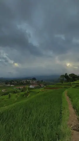 #katasunda #brandatiktok #fypシ #storywa #katasunda #statuswa #katasunda 