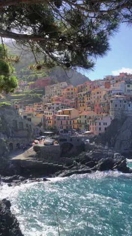 Cinque Terre ✨ One of the most idyllic places that I’ve ever visited. Everywhere you go is like a scene from a movie. I’d definitely go back. #italy #cinqueterre #italiansummer #cinqueterrelove 