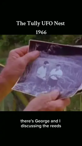 George Pedley, the UFO and the Tully 