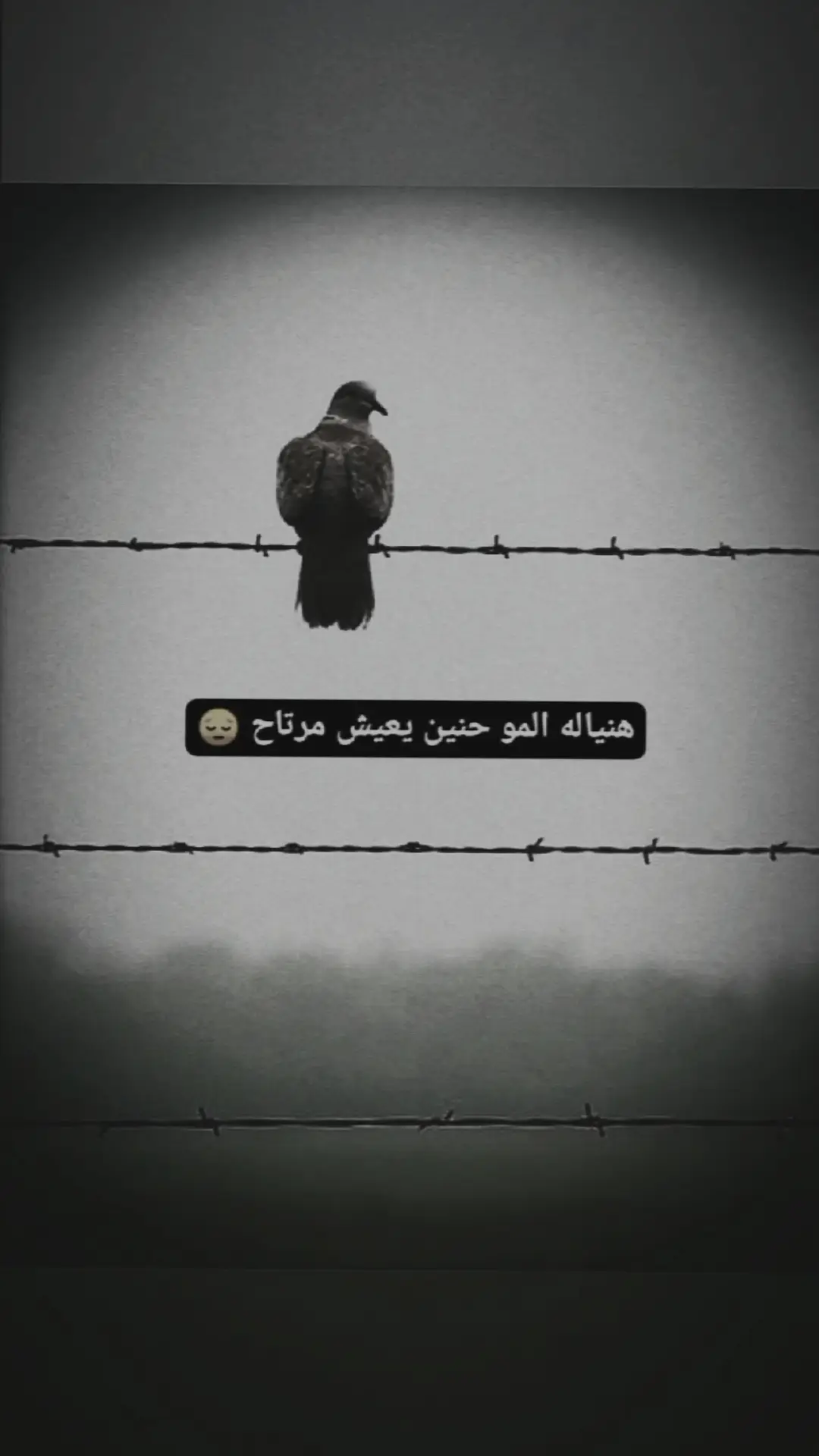 منياله المو حنين ويعيش مرتاح😔 #واقع_كئيب_waqie_kayiyb #ما_لقيت_حدا_يفهمني_ولا_راح_الكا #ستوريات_حزين #عبارات_حزينه #نرسم_البتسامه #😔🥀 
