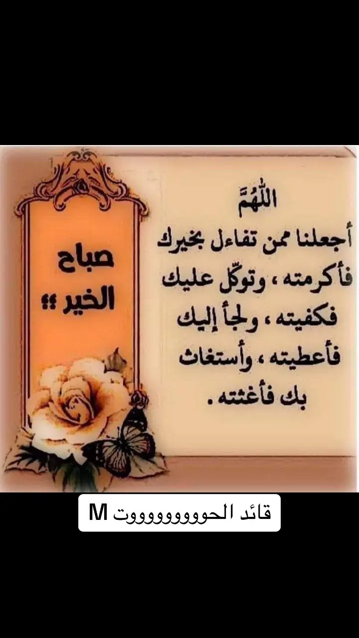 #الكويت🇰🇼 #الحووووووووووت #المغرب🇲🇦تونس🇹🇳الجزائر🇩🇿 #السعوديه🇸🇦 #االامارات🇦🇪 