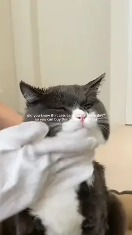 #fyp #foryou #TikTokShop #tiktokaffiliate #trend #trending #petgloveswipes #petcleaning 