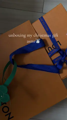 thankyou my kind and loving boyfriend 💌☃️🎄✨ #christmas #christmasgift #unboxingbag #luxurybags #lvfelicie #bagreview #louisvuitton #giftideasforher #giftideasforgirlfriend 