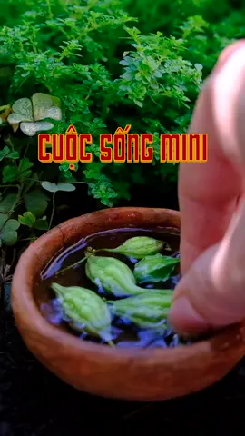 Cuộc sống mini xin chào. Lại là cơm nhà... tớ mời cậu. Canh khổ qua , vài con cá kho, thế là xong bữa. Cảm ơn vì đã dừng lại xem trang của Tớ. miniature cooking. #cooking #nauan #nauanthunho #cuocsongmini #giaitri #thugian #xuhuong #miniaturefood #fyp #asmr #miniature #monngonmoingay #miniaturecooking 