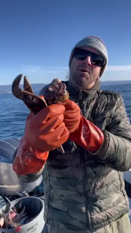 #onthisday Barnacle Chronicles, in the beginning #fyp #crab #friendliestcatch #barnacles 
