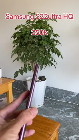 Hàng về sll nè #dienthoaicu #Samsung #iphone #dienthoaigiare 