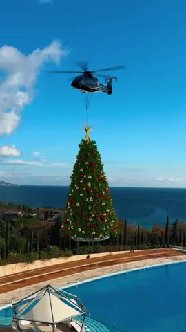 OMG!!! Merry Christmas 2023 🎄🫣🎄🎅🏻🎉🎉 #Xmas2023 #christmas2023🎄🎁 #chritsmasvibes #christmastree #christmasgift #25december #christmasgift #funnyvideos #christmaslights #decorchristmas🎁❤️🎄🎄🎄 #decor #trending #viral #fypシ #foryoupage❤️❤️ #funnymoments 