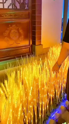 Đèn Led bông lúa vàng thần tài#denledbonglua #denledbongluathantai #denled #bongluathantai #trangtritet #tet2024 #xuhuongtiktok #xuhuong 