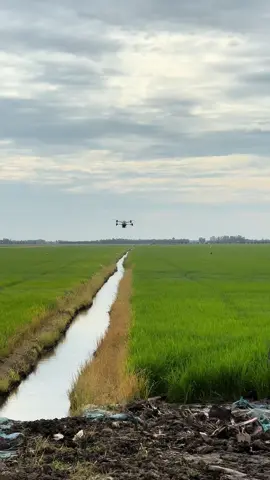 Bay giữa mương bỏ hao phân quá ae ơi😆#xuhuong #DijT40 #67angiang 