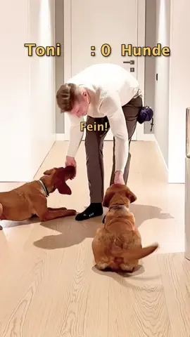 Hundetrainer Toni liefert ab 🤝 #luppen #luppentv #tonikroos #felixkroos 