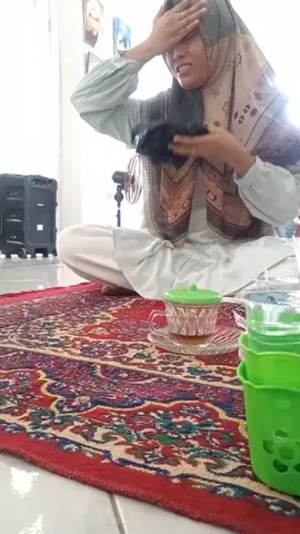 kedatangan tamu yang meminta untuk diruqyah. supaya hati dan pikirannya lebih tenang serta bisa selalu semangat untuk melakukan ibadah-ibadah. semoga dengan barokah Al Qur'an dan do'a, Allah berikan kesehatan dhahir bathin kepada beliau. #ruqyahsyariyyah #ruqyahaswaja #ruqyahpekalongan #suwukpekalongan 