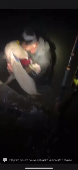 Fishing fail😂 catfish fail  #catfish #catfishfail #bigfail #fail #funny #rybareni #ryby #fishing #fish #fishinglife #life #czechrepublic #tiktokfish @Catfish World by Yuri Grisendi 