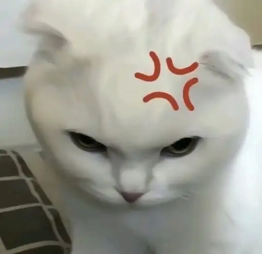 ném fb vào đây 5p sau có bất ngờ😤💢#fyp 