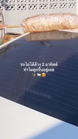 หิมะแต่งรถแบบนี้ก็ม่ายอาววว ตั้งแต่มีสิ่งนี้ก็ประหยัดค่าล้างรถไปหลายวีค 😝🐑 #ผู้หญิงขับรถ #cargirl #มือใหม่หัดขับ #ซนซนคาร์ #ดูแลรถยนต์ #CleanTok #ไม้ปัดฝุ่นขนแกะแท้ 
