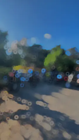 info bromo with you 😅 #bromo #herex #tiger  #fyp 